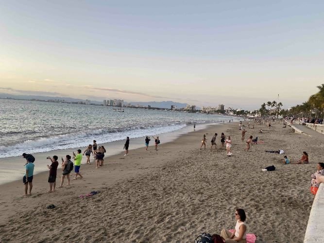 Puerto Vallarta safety for expats