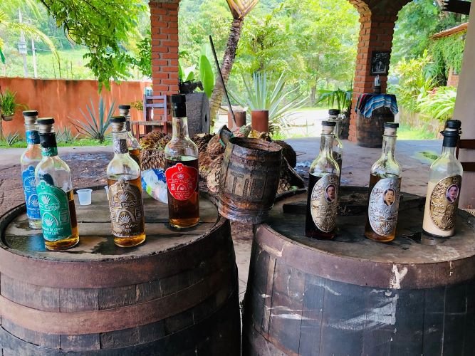 uerto vallarta tequila tours