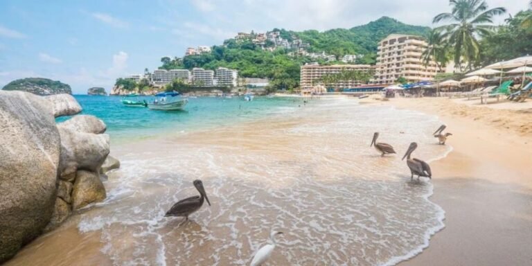 things to do in Mismaloya for residents